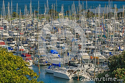 A large number of yachts in the marina, Gulf Harbour, Auckland, in New Zealand Stock Photo