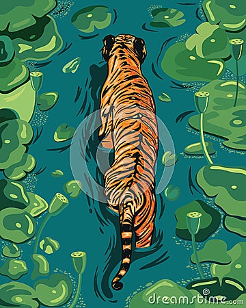 A large orange male tiger walks in a lake with water hyacinth leaves Vector Illustration