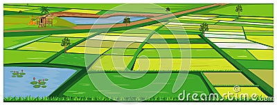 Large paddy field Vector Illustration