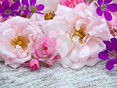 Large pale pink and small bright pink roses and geranium bouquet Stock Photo