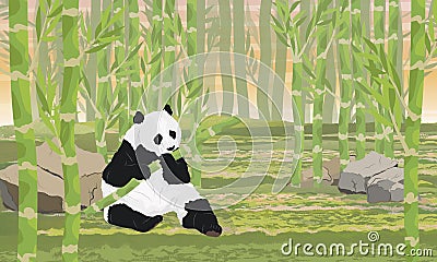 A large panda nibbles on a juicy stalk of bamboo. Asian animals. Bamboo grove. Vector Illustration