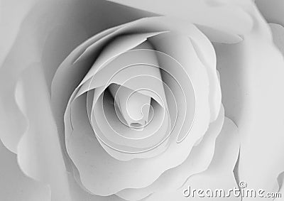 Large Paper Flower Stock Photo