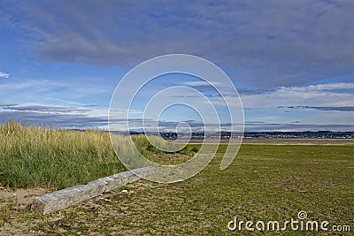 A large piece of substantial Timber Driftwood against the dunes of a the gently shelving beach at Tentsmuir Point. Stock Photo