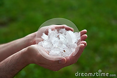 man holding a handful of large hailstones. consequences of natural anomalies Stock Photo