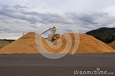 Large piles of sawdust at a wood processing plant Stock Photo