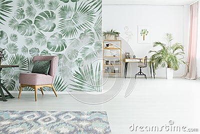 Large plant in day room Stock Photo