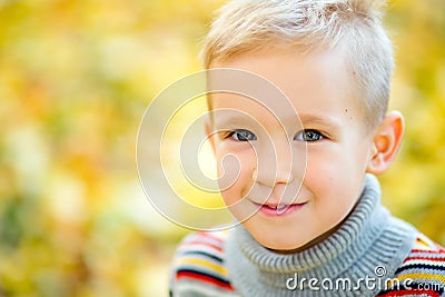 Large portrait of a boy in the open air. Cute boy walking in the autumn Park. The child looks at the camera with a smile Stock Photo