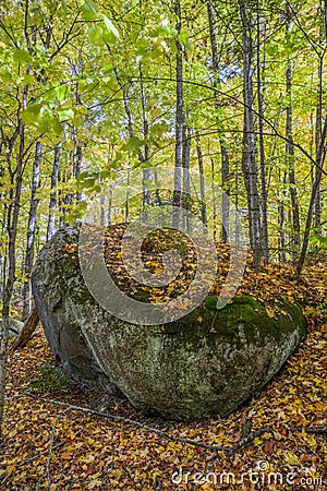 Large Precambrian Boulder in a Fall Forest - Ontario, Canada Stock Photo