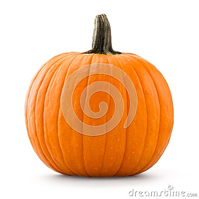 Large pumpkin Stock Photo