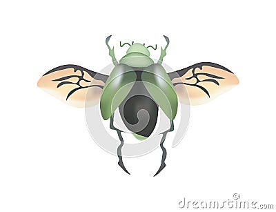 Large realistic flying beetle Vector Illustration