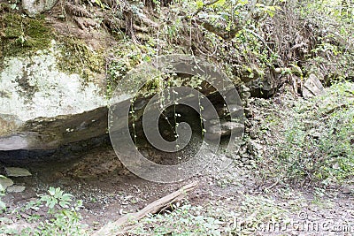 Rock overhang with vines Stock Photo