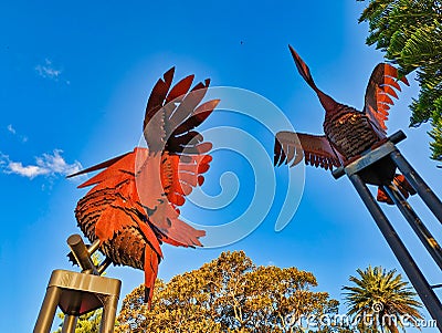 Pelican Metal Sculptures, Rose Bay, Australia Editorial Stock Photo