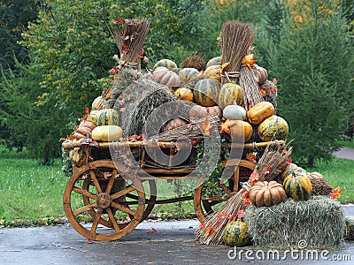 Large rustic wagon with pumpkins and hay. Pumpkin different lots. Concept - harvest, autumn holiday, farm Stock Photo