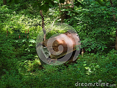 Large rusty metal in the woods at Big Bull Creek Park in Edgerton Kansas Stock Photo