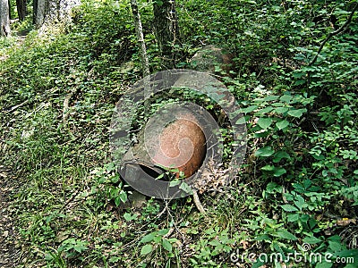 Large rusty metal in the woods at Big Bull Creek Park in Edgerton Kansas Stock Photo