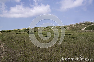 Large Sandunes on the Outer Banks Stock Photo