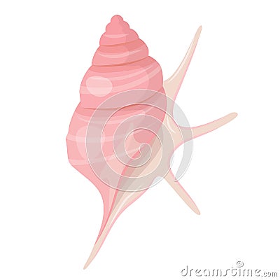 Large sea pink shell, beach spiral seashell Vector Illustration