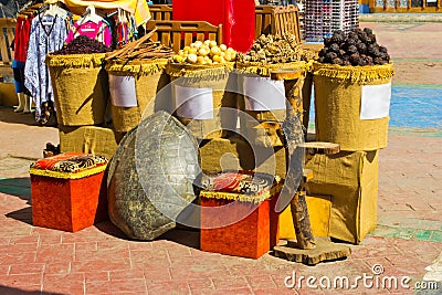 Large sea turtle carapace Stock Photo