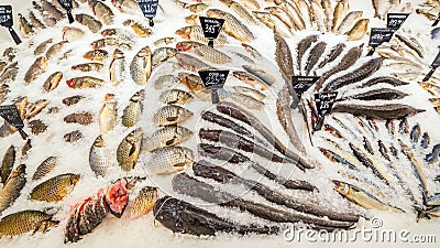 A large selection of fresh fish lying in the ice on the counter of the supermarket. Stock Photo