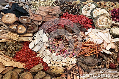 Traditional Chinese Herbs Stock Photo