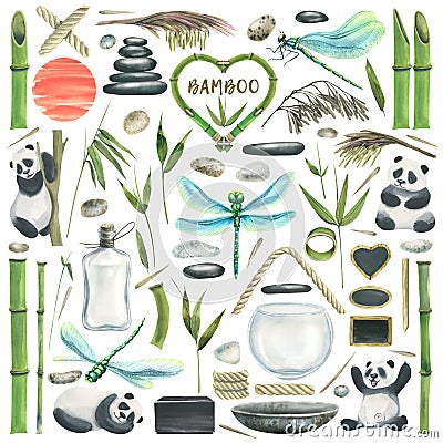 A large set with bamboo stems, leaves, flowers, dragonflies, pandas, pebbles and various accessories for compositions Cartoon Illustration