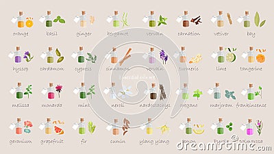 A large set of essential oil icons. Plants for aromatherapy. Stock Photo