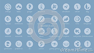 A large set of essential oil icons. Plants for aromatherapy. Stock Photo