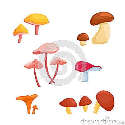 A large set of vector illustrations with mushrooms in a cartoon style. Vector Illustration