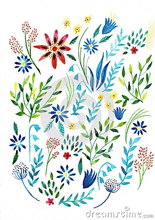 Large set watercolor illustration. Botanical collection of wild and garden plants. Set: leaves, flowers, branches, herbs Cartoon Illustration