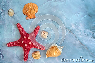 large shells and starfish Stock Photo