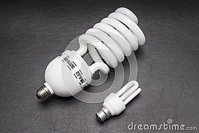 A Large and small bulb of the same kind Stock Photo