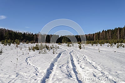 Large snow glade in winter forest Stock Photo