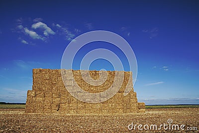 Large stack of hay bales Stock Photo