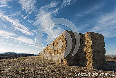 Large stack of hay bales. Stock Photo