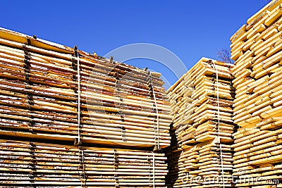 Large stacks of wooden planks at the sawmill yard on the blue sky background Stock Photo