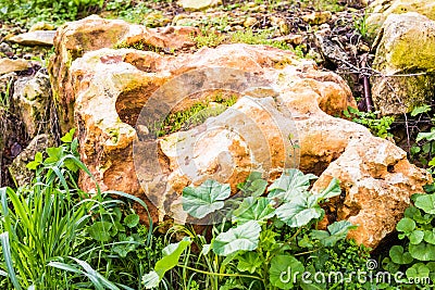 Large stone in a green grass are a confidence and tranquillity symbol Stock Photo