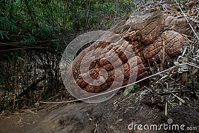 Large stones that resemble snake scales. This is Naka Cave, Bueng Kan Province. Stock Photo