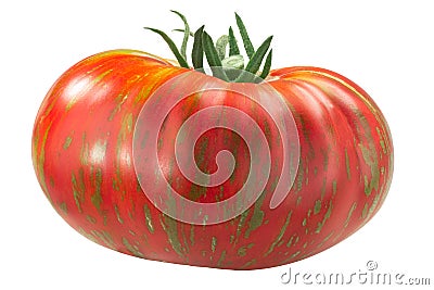 Large Striped Boar heirloom tomato, isolated Stock Photo