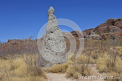 Large termite mound in Bungle Bungle Range landform in Kimberley Western Australia Stock Photo