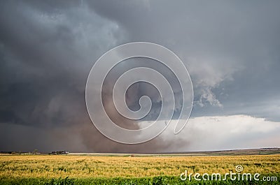 A large tornado fills the air with a huge cloud of dust under a storm cloud. Stock Photo