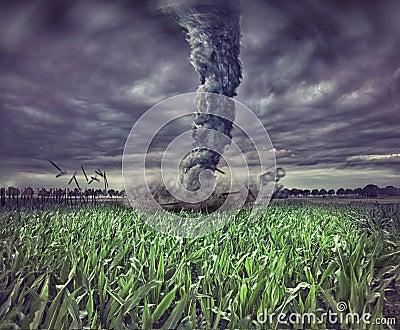 Large tornado Stock Photo