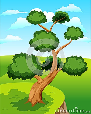 Large tree Stock Photo