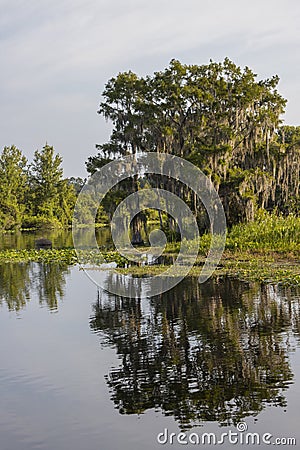 Lake Rousseau at Dunnellon, Florida Stock Photo