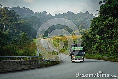 Large truck driving down a peaceful and picturesque rural road with a line of lush green trees Editorial Stock Photo