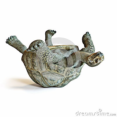 Large turtle upside down on its back. Stock Photo