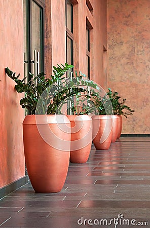 Large vases Stock Photo