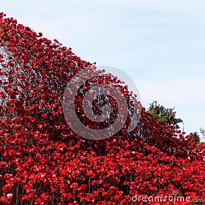 Large wave of ceramic poppies at war memorial. Editorial Stock Photo