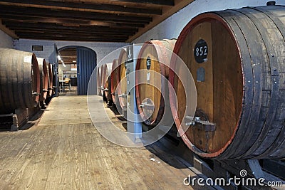 Large wine barrels in vinyared in Barossa Valley in South Australia Editorial Stock Photo