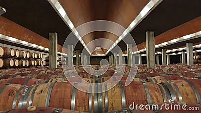 Large wine cellar with French oak barrels Stock Photo