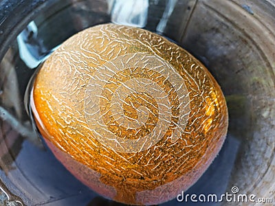 Large yellow ripe melon floats in a metal bucket with water, close-up Stock Photo